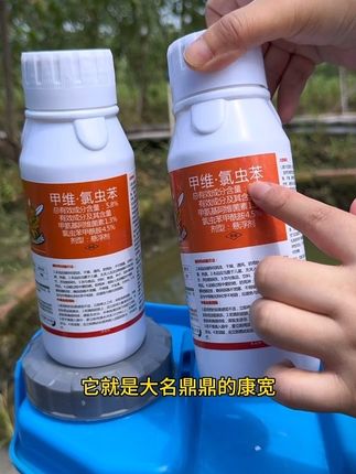 蔬菜种植