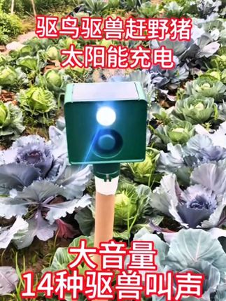 太阳能驱赶野猪神器,内置13种语音驱兽叫声,驱赶野猪黄鼠狼等野兽,保护果园、农田、玉米地、麦地、效果杠杠的#驱兽神器#驱鸟神器#驱鸟#太阳能驱鸟器#高性能实用工具@抖音创作小助手@抖音@抖音小助手 #太阳能驱鸟器