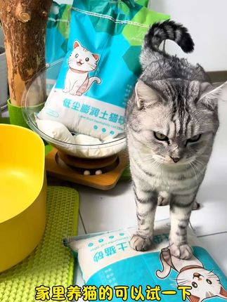 复初膨润土猫砂,天然矿物原料,安全健康,猫咪放心用。#猫砂 #性价比高猫砂推荐 #猫砂推荐 #养猫用品推荐 #新手养宠