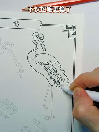 专注力是可以培养的,假期可以给孩子多玩玩这套国画白描临摹画册,不仅可以锻炼控笔还能训练专注力和耐心 #白描画本 #控笔训练 #国画 #白描