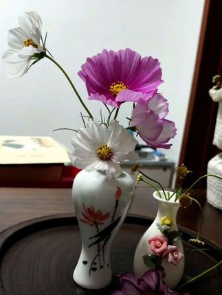 一瓣柔白,一抹嫣紫,仿佛诉说着秋日的低语。🍃🌸  深秋寒露,岁月从来不语,全是答案。 #记录生活 #美好瞬间#有一种生活叫延吉#有一种生活叫延边#纪录美好生活