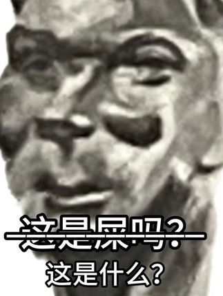 这是屎吗 #新机搭子已就位 #随身wifi #飞猫随身wifi