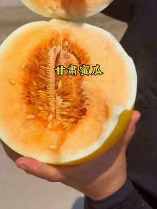 #新鲜采摘 瓜香浓郁,脆甜多汁,超级好吃!#蜜瓜 #好物推荐 #亲测分享 #优质农产品