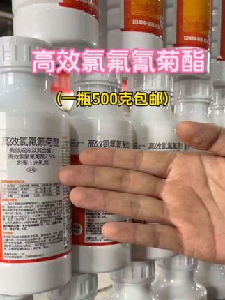 高效氯氟氰菊酯杀虫剂#病虫害防治 #三农 #好物推荐🔥 #抖音二创激励计划 #三农种植