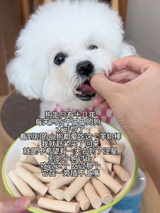 狗生短短十几年 看到好吃的 我就会给小七买回来些 都想让它尝一尝#家有馋狗#萌宠好物