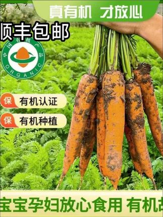 #红萝卜 #营养丰富 #新鲜采摘 #无添加剂绿色食品 #推荐好物