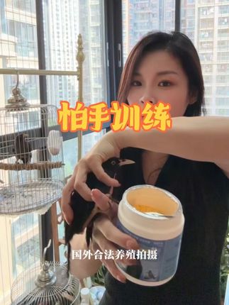 #训鸟高手 #养鸟经验分享