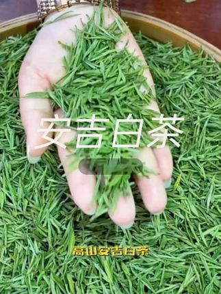 #安吉白茶 #绿茶 #召唤茶友 #爱喝茶的关注我 #原产地