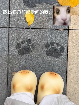 可以踩出猫爪印的棉拖诶!这也太可爱了吧~#棉拖#玩个很新的东西#这也太可爱了吧 #萌物