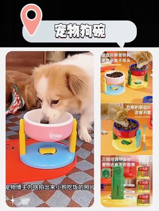 #宠物 宠物狗碗可升降调节猫狗通用护颈水碗狗猫粮碗斜口吸盘贴地防打翻#宠物知识 #好物推荐🔥 #超便宜超划算 #狗碗狗盆
