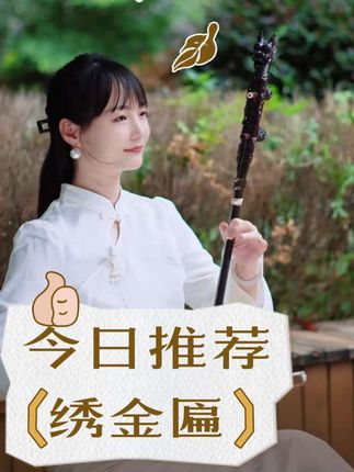 #绣金匾 #二胡 #经典老歌 #前奏一响拾起多少人的回忆 #赛芬二胡