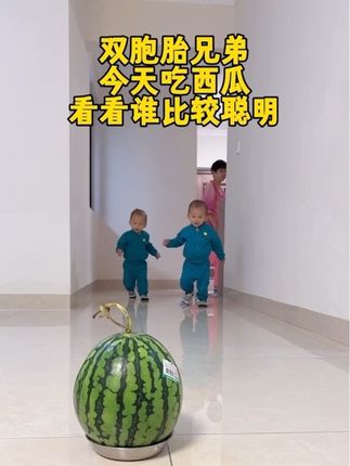 这对可爱的双胞胎兄弟今天吃西瓜,看看谁能先打开#双胞胎日常 #双胞胎抢东西