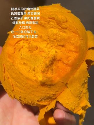 随手买的鸡蛋果,真的太惊艳了!这个来自云南的鸡蛋果也叫蛋黄果,果实圆润,芒香浓郁,果肉像蛋黄一样,细腻粉糯,绵密香甜,入口即化,鸡蛋和水果融合的独特口感,真的吃一口就沦陷了😭!没吃过的家人可以试试哦#鸡蛋果 #蛋黄果 #现摘现发新鲜到家 #口感特别好 #热带水果