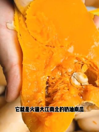软糯香甜奶油南瓜蒸熟香甜软糯,,营养又健康,老人孩子都爱吃!,#新鲜采摘 #优质农产品#奶油南瓜#南瓜#老人小孩都爱吃。