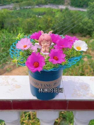 太阳花防倒伏花架#多色重瓣太阳花 #爱生活爱养花 #防倒伏花架