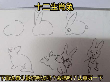 第4集|生肖兔简笔画#自学画画