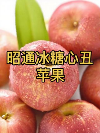 这个丑萌丑萌的小苹果也太好吃了吧!来自云南昭通高原、海拔2000+米的阳光果园、昼夜温差大 糖分疯狂积累,每一颗都有晶莹剔透的冰糖心!#云南特产 #冰糖心苹果 #丑苹果 #水果推荐