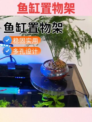 #养鱼 鱼缸角架收纳安装免收纳空间节省鱼缸托盘隔断摆件装饰#强烈推荐 #养鱼人 #好物推荐🔥 #国庆节好物