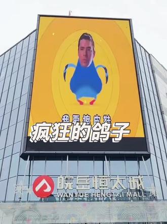 回复 @发霉的糯米的评论 必须安排上#疯狂的鸽子 #抽象 #热梗 #皖岳恒太城#岳西