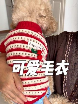 这个针织镂空毛衣,穿上也太可爱了吧,很适合秋冬季节穿!#宠物衣服 #这也太萌太可爱了吧 #萌宠好物 #狗狗衣服