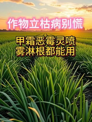 作物立枯病别慌,甲霜恶霉灵喷雾淋根都能用#防立枯#除菌#30%甲霜恶霉灵