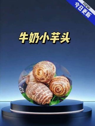 #牛奶芋头 云南新鲜牛奶小芋头整箱3斤5斤9斤1斤农家自种毛芋头牛奶芋头香芋#芋头#毛芋头#香芋#超便宜超划算