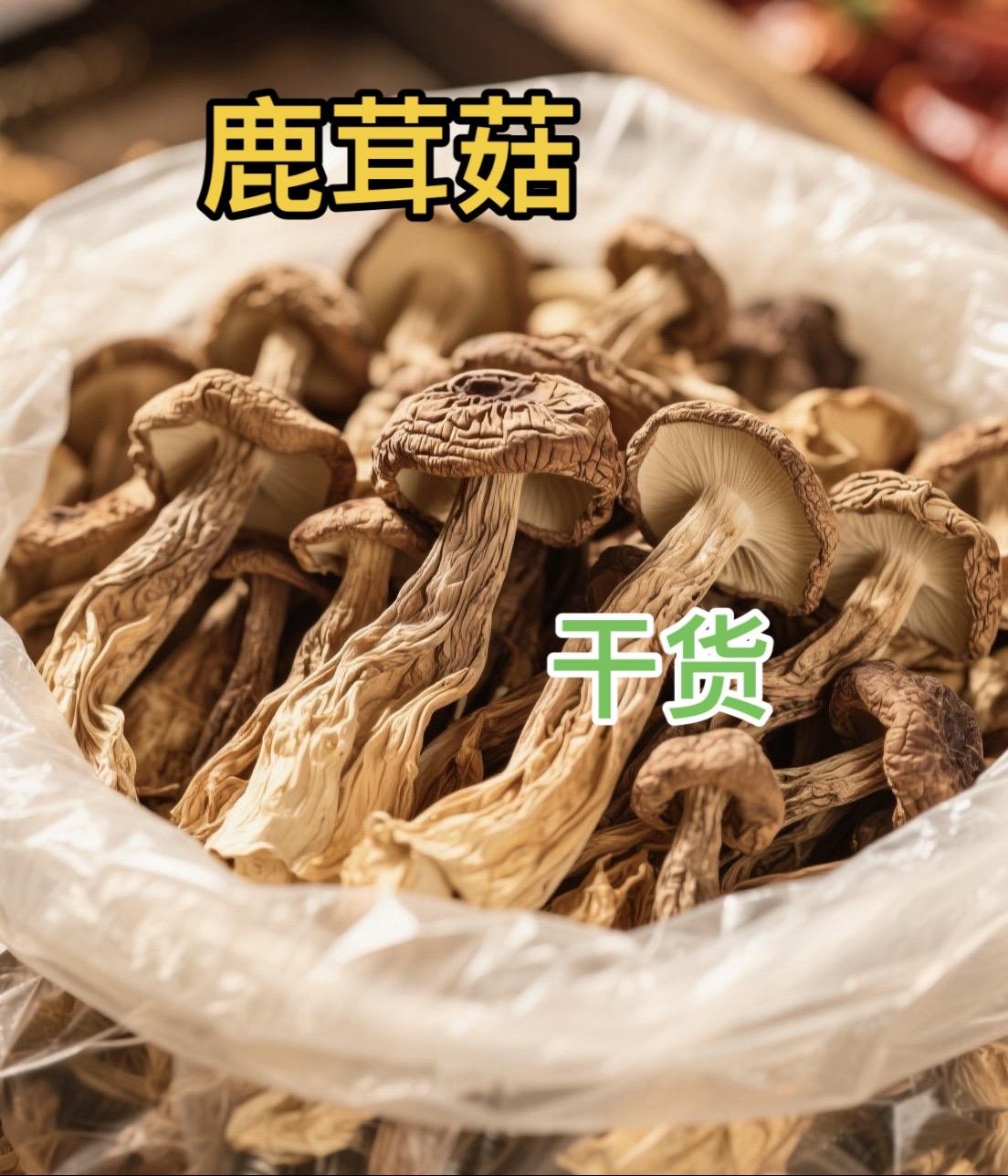 鹿茸菇干货#鹿茸菇怎么炒好吃 #鹿茸菇煲汤 #鹿茸菇烧鸡腿肉