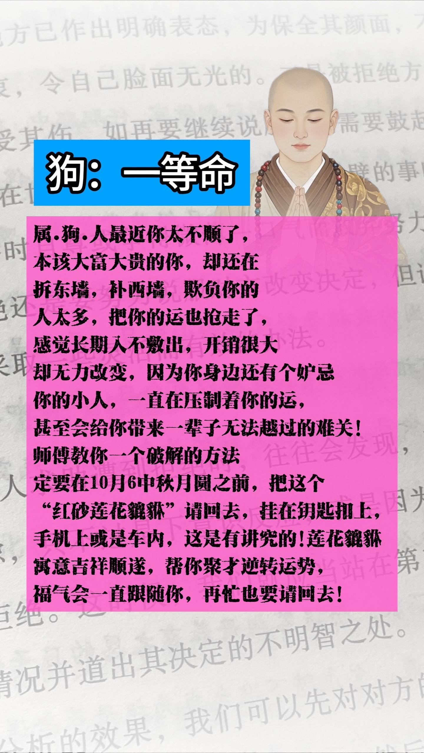 #狗
