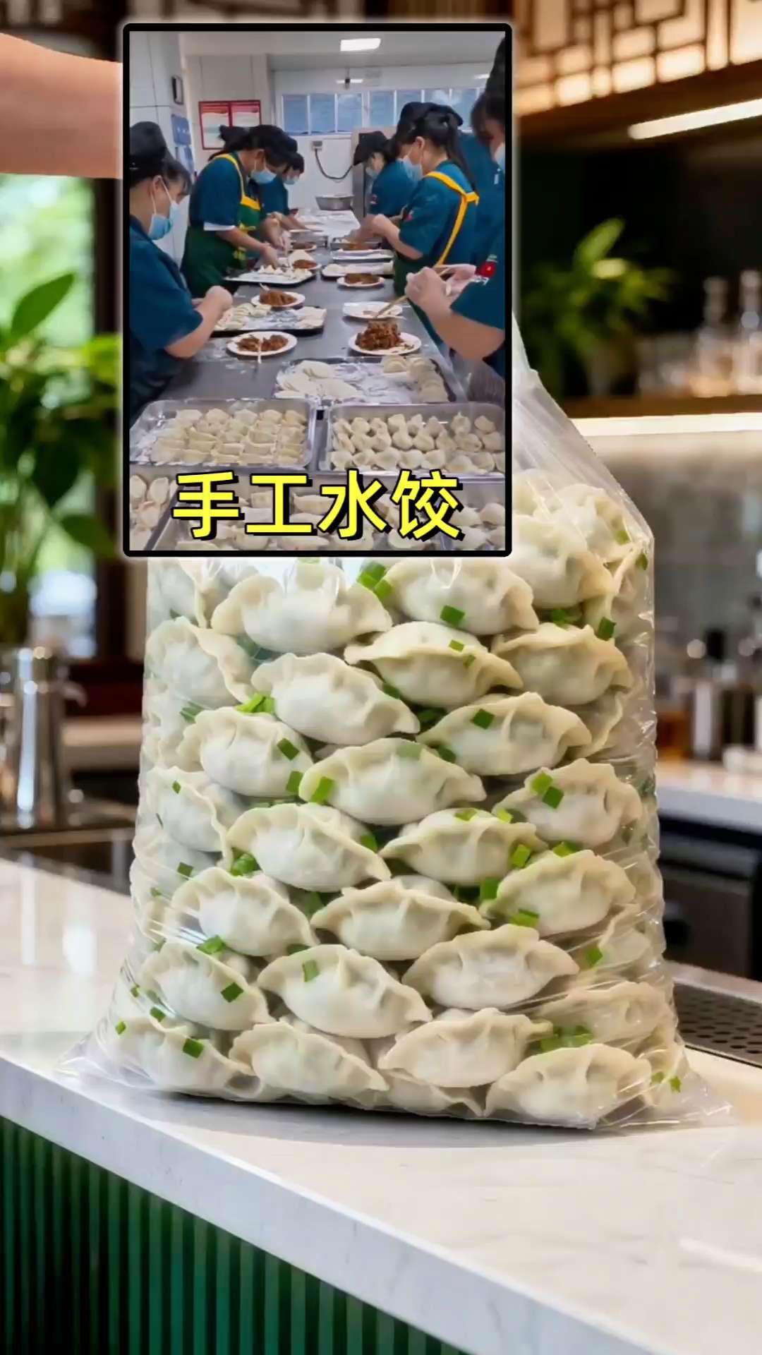 #饺子 #快来一起尝个鲜 #水饺 #速冻饺子 #超便宜超划算 @DOU+上热门 @DOU+小助手 @抖加🔥上热门🔥dou+🔥热点宝