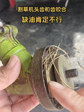 割草机必须注油保养。