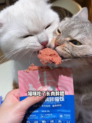 耐萌9块9尝鲜大礼包,现在到手11件全都是猫咪爱吃的!有猫条猫粮和猫饭!#萌宠好物 #新手养猫 #猫粮 #耐萌