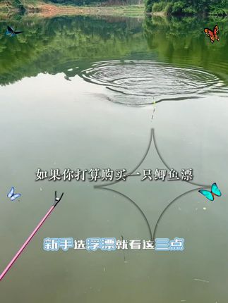 小凤仙鲫鱼专用漂高灵敏醒目渐细尾加粗尾黑坑竞技高倍比综合浮漂#高灵敏浮漂 #醒目鱼漂 #钓鱼 #渔具用品