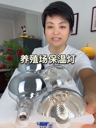 #养殖场 #保温灯 #养猪人加油 #超便宜超划算 #养猪