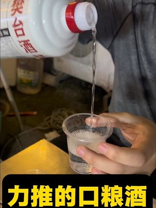 酒友们放心大胆的尝试支持试喝#不满意包退 #茅台镇 #源头酒厂#酱香型白酒 #樊台口粮酒