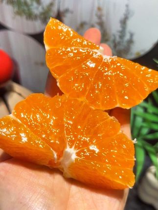 #谁懂这一口的好吃程度    哇塞塞~流口水🤤!!姐们们,终于吃到了酸甜可口的青皮蜜橘 !皮薄汁水多 没有籽 很甜很清新的橘子香~维c满满,巨好吃巨解腻!#蜜橘 #橘子  #优质农产品#快来一起尝个鲜