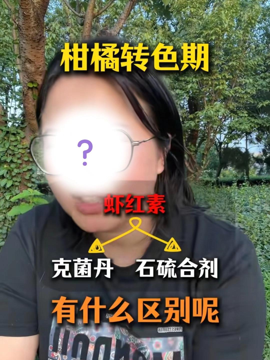 #柑橘种植#柑橘管理#柑橘高产#果树种植#果树管理