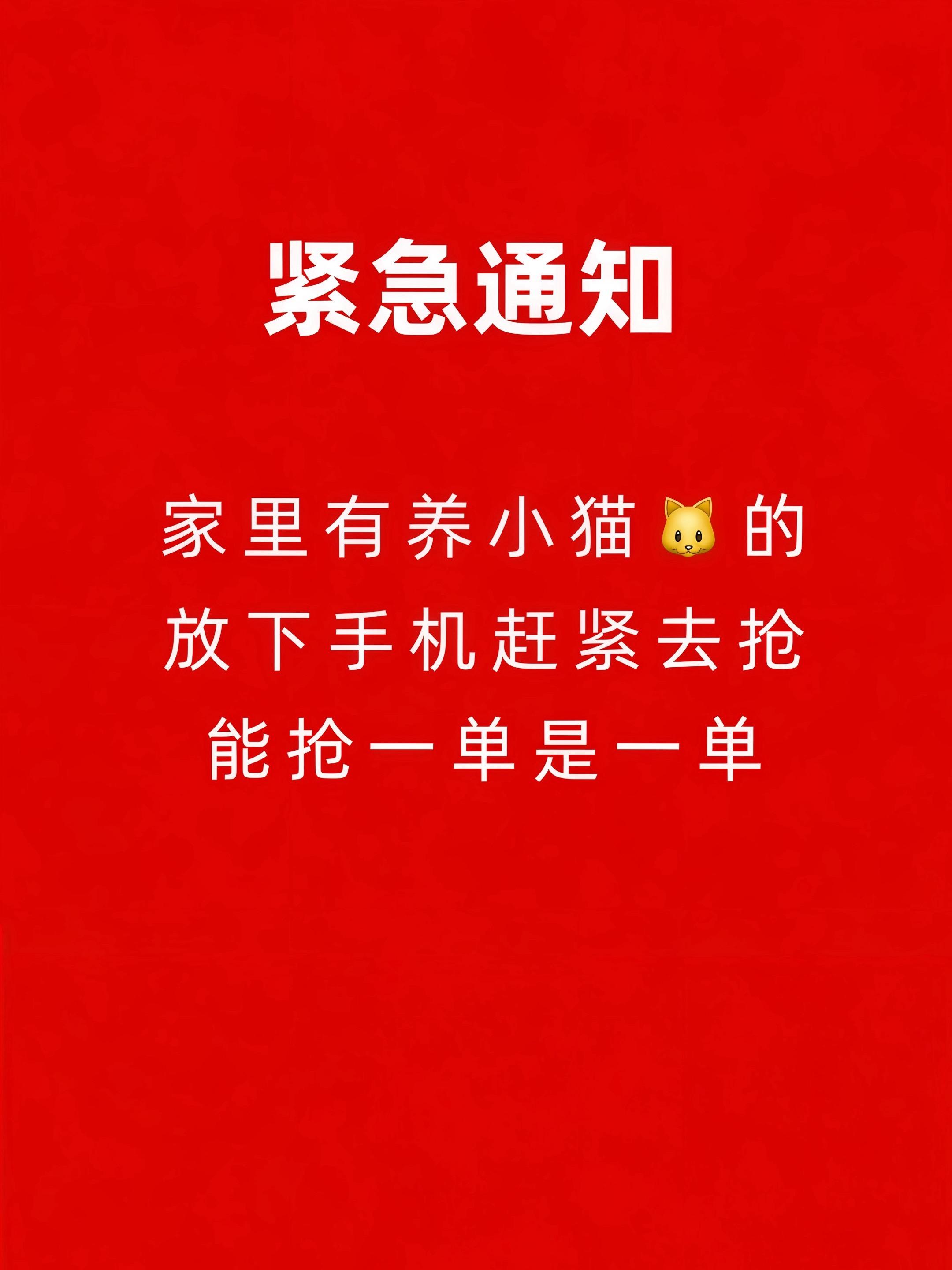 9.9到手4包麦富迪双拼猫粮!库存告急,手慢无!养猫人赶紧冲~#麦富迪 #双拼猫粮 #养猫好物