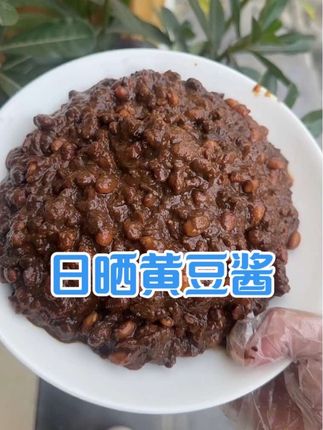 农家日晒黄豆酱,超下饭 无添加纯咸口#强烈推荐 #好吃到停不下来 #农村美食 #快来一起尝个鲜 #三农