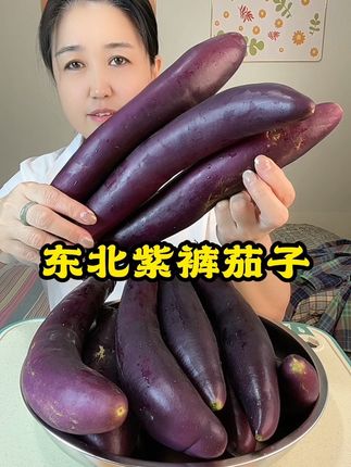 #茄子#东北紫茄子#现摘现发#东北特产