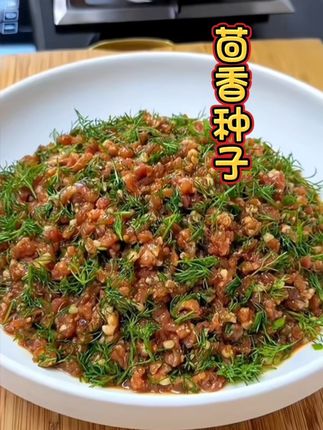 马上立秋了,又到了种植茴香的季节,茴香可以反复多茬连续采收#茴香种子 #乡村味道