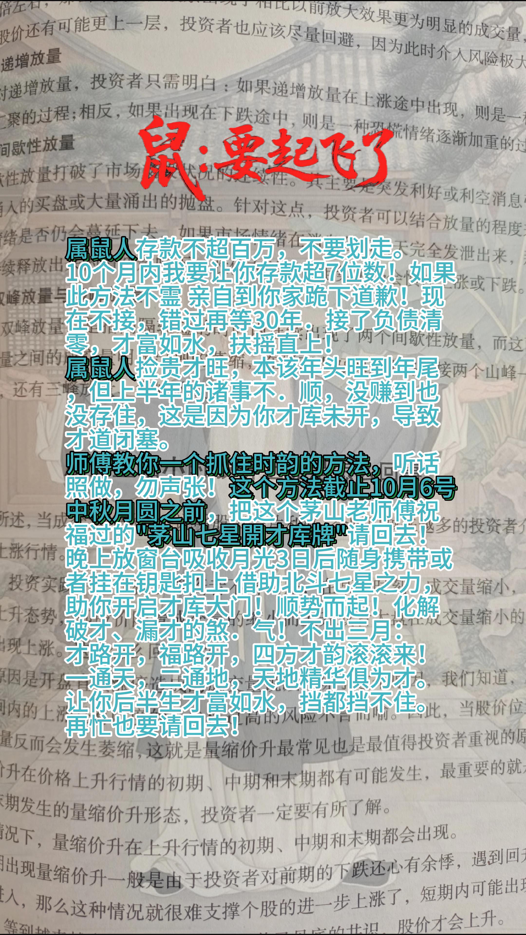 #鼠 #属鼠 #生肖鼠