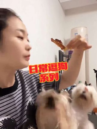 好吃,爱吃,抢着吃!,#vlog十亿流量扶持计划 #家有馋狗 #vlog日常 #宠物vlog #妈呀太香了