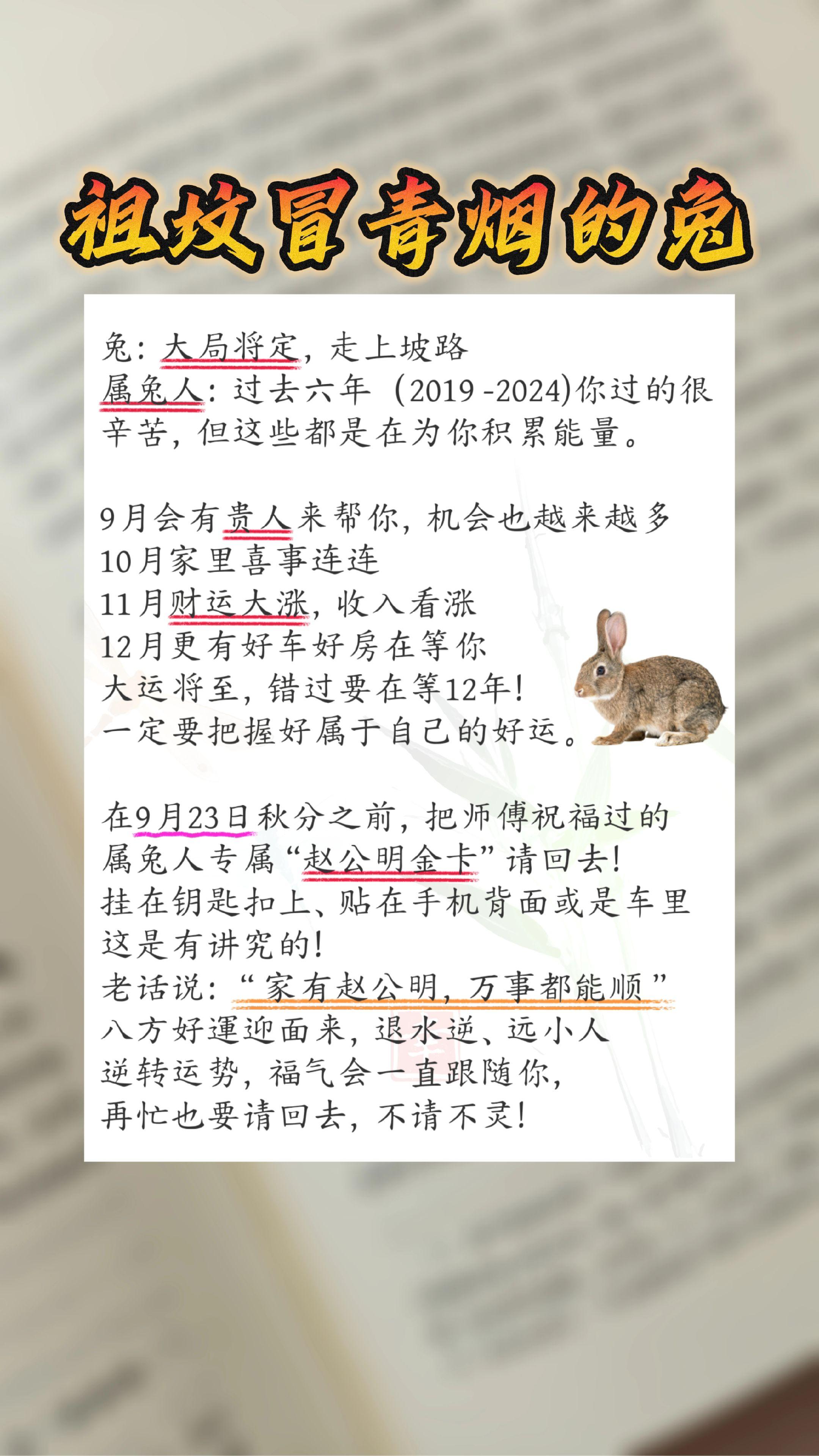 #属兔 #99年属兔 #87年的兔子 #75年的兔 #63年的兔