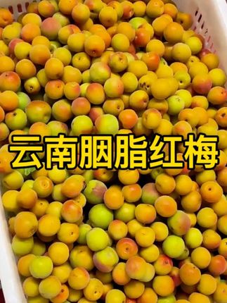 #优质农产品 #新鲜应季水果 #云南胭脂红梅 #口感特别好 #快来一起尝个鲜
