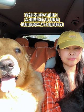 小狗:防晒!我们是专业的! 我家狗对防晒的执着:身体可以晒,狗毛可以烫,但尊贵的眼睛,绝对不能沾到一点光!这大概就是传说中的“眼部防晒焦虑症”吧。#可爱萌宠 #狗子迷惑行为大赏 #动物的迷惑行为 #宠物迷惑行为 #萌宠视频