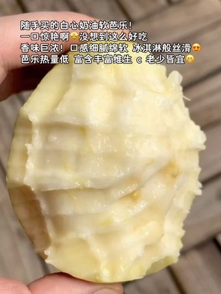 奶油芭乐居然也破价了,吃腻红心芭乐和别的水果的姐妹一定要试试这个奶油芭乐!真的绝了超好吃!果肉香甜嫩滑,奶油冰淇淋般的口感!趁价格划算赶紧薅!#超便宜超划算 #应季水果 #大人孩子都爱吃#芭乐#奶油芭乐