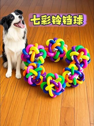 我家毛孩儿太喜欢这个七彩铃铛球了,一玩一整天#萌宠 #萌宠出道计划 #萌宠日常记录 #猫咪 #狗狗