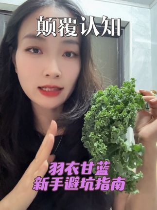 营养炸弹,我管理期喜欢的超级食物#国庆节 #代餐 #羽衣甘蓝