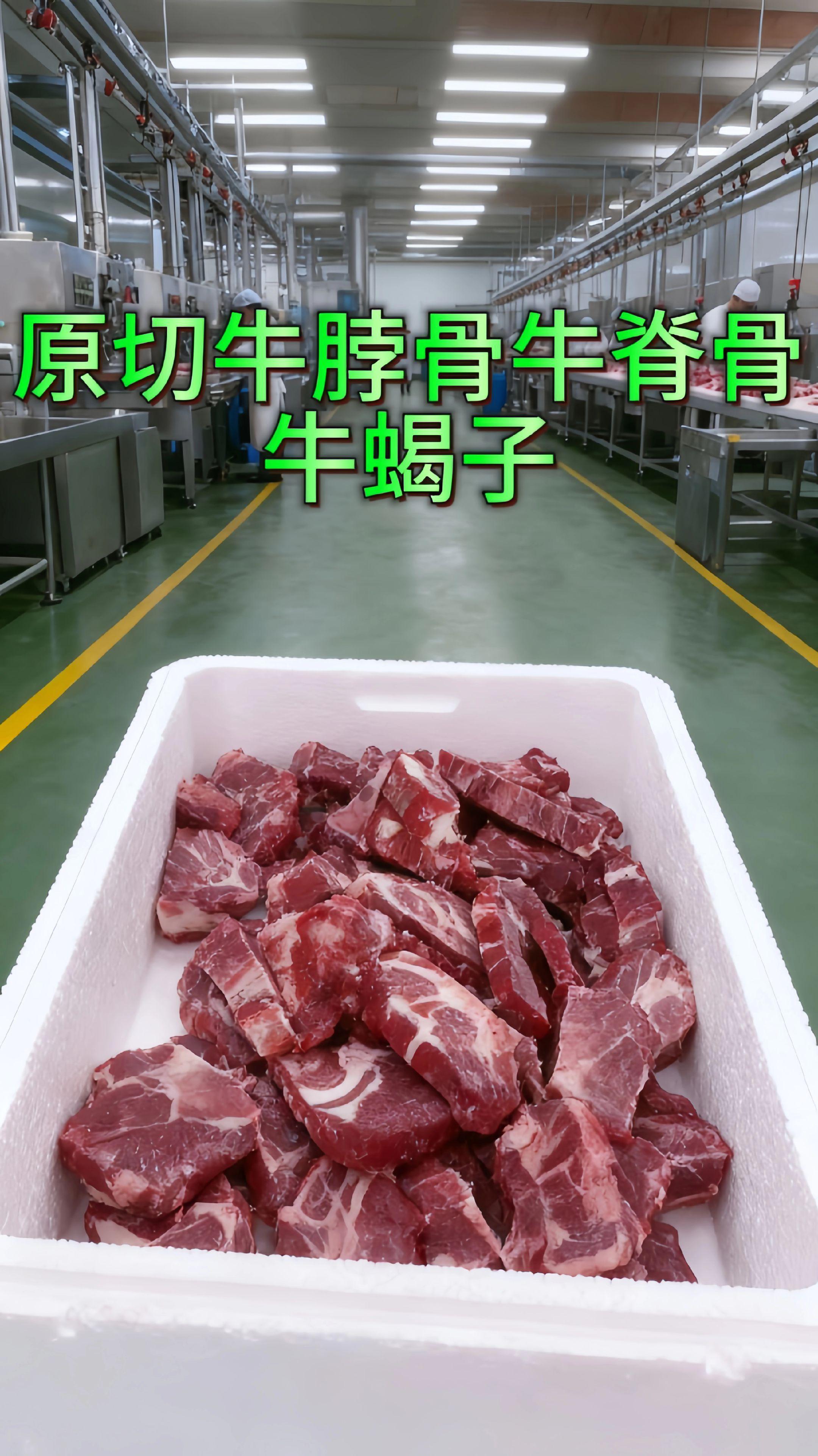 原切牛脊骨可太懂吃货心了!带着贴骨肉的牛蝎子、厚实的脊骨,新鲜现切得透着股精气神儿~ 炖汤时咕嘟出奶白浓汤,肉香混着骨髓香直钻鼻腔;涮火锅往汤里一扔,煮到脱骨的肉蘸点料,香得直咂嘴;拿来红烧或炒菜,每块肉都裹着酱汁,啃着超过瘾! #原切牛脊骨才够味 #啃大骨头的快乐 #营养又解馋 #牛脊骨#牛肉