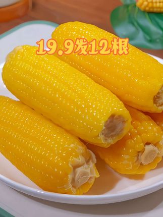 19.9到手12根,,,而且还都是大棒🌽#东北黄糯玉米 又大又甜又香糯#糯玉米的营养价值 #软糯香甜 大人小孩都爱吃,太香了!#哇又便宜又好吃 #粗粮